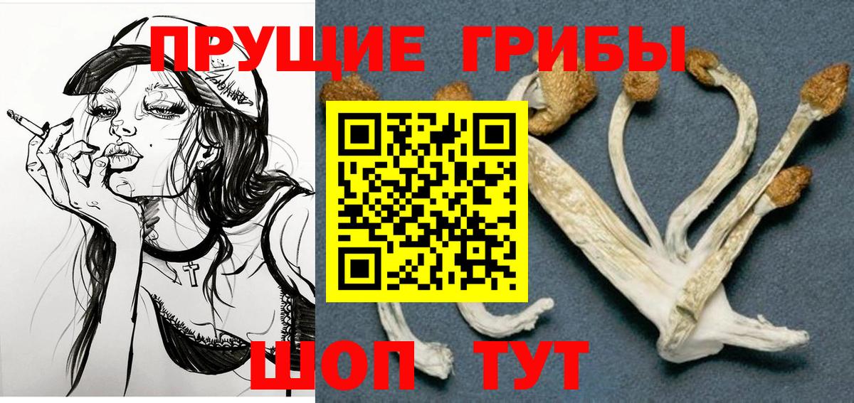 Галлюциногенные грибы Cubensis Верхняя Салда