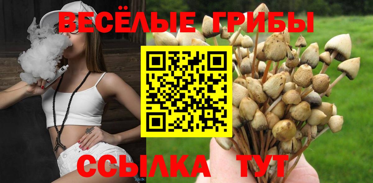 Верхняя Салда  Псилоцибиновые грибы прущие грибы  Псилоцибиновые грибы прущие грибы  Вход с VPN 